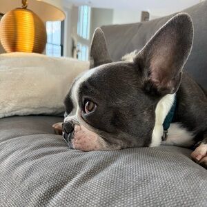 Meet your Posher, Fiona